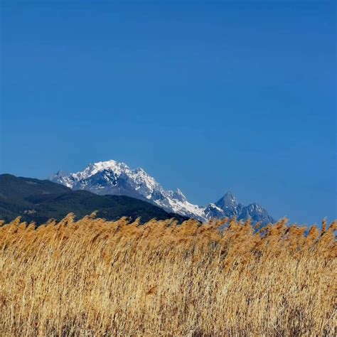 麒麟山無極天湖宮東方木公台 相片|110年11月13日...